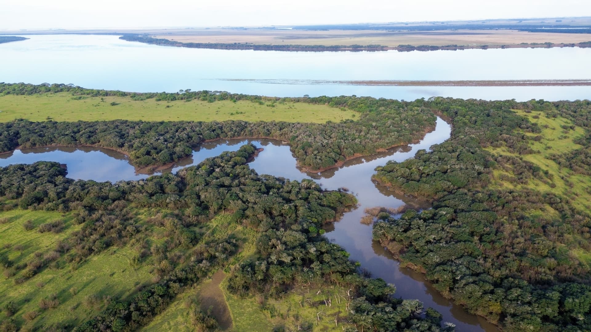 Vista aérea del río Uruguay y los montes de la estancia